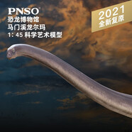 PNSO馬門溪龍爾瑪恐龍博物館1比45科學(xué)藝術(shù)模型