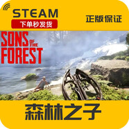 steam正版pc游戲 森林之子 Sons Of The Forest 國區(qū)禮物 標準版 國區(qū)激活