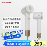 夏普【夏普小浪花】家用高速吹風(fēng)機(jī) 大功率速干電吹風(fēng)低噪音吹風(fēng)筒等離子護(hù)發(fā)IB-RP45C-C