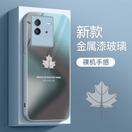 彩繪師 適用vivoiQOONeo8/10/9SPro+手機殼創(chuàng  )意玻璃neo7se/6se/5s硅膠防摔硬殼保護套網(wǎng)紅簡(jiǎn)約楓葉男女款 iQOONeo6/6se【遠峰藍】立體感玻璃