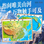 【北斗官方】北斗凹凸立體地圖 2024年新版800*600mm中國(guó)地圖和世界地圖 2張 加厚精雕