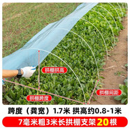 時(shí)光舊巷小拱棚支架桿蔬菜拱棚骨架育苗菜棚花棚玻璃纖維桿彈力棒農(nóng)用大棚 6毫米粗1.8米長(zhǎng)【20根】