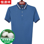 恒源祥桑蠶絲短袖t恤男中年爸爸夏季男裝翻領(lǐng)真絲上衣服半袖體恤汗衫 83001灰藍(lán) 180