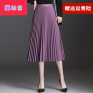【特價(jià)撿漏】高檔輕奢百褶裙半身裙中長(zhǎng)款女春秋2022秋冬新款顯瘦單裙垂感大擺百折長(zhǎng)裙雨杉蘭 紫色 均碼 1尺8-2尺5