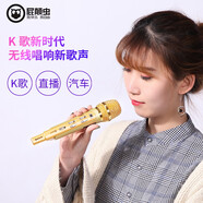 屁顛蟲（Hifier） 無線話筒麥克風(fēng)全民K歌神器專業(yè)錄音直播聲卡套裝車載K歌唱歌藍(lán)牙版本600手機(jī)唱歌麥克風(fēng) MC-900藍(lán)牙版
