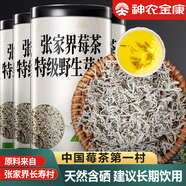神農(nóng)金康 莓茶500g 特級野生張家界降三月新茶高搭湖南永順莓茶霉茶藤茶