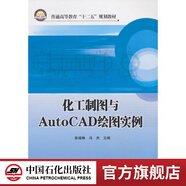 【官方旗艦店】化工制圖與AutoCAD繪圖實例