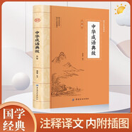 中華成語典故 中華經(jīng)典故事讀中華典故知傳統(tǒng)文化教育成語大詞典青少年學生成人暢銷書籍