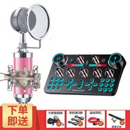 貝音凱 V20主播唱歌聲卡套裝電容麥外置手機(jī)電腦通用全民K歌抖音帶貨戶外直播支架麥克風(fēng)專業(yè)直播設(shè)備 V20粉紅色奶瓶套裝【含鋁箱】