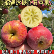 正宗昭通丑蘋(píng)果新鮮現摘水果整箱脆甜多汁香甜紹通野生蘋(píng)果冰糖心 10斤凈重70-75mm精選中果