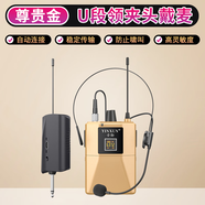 音勛無(wú)線領(lǐng)夾麥克頭戴式話筒專(zhuān)業(yè)舞臺(tái)演出戶外唱歌唱戲U段防嘯叫主持培訓(xùn)教學(xué)音響功能通用 一拖一無(wú)線頭戴麥【送領(lǐng)夾麥線】