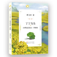 新華書店官方正版 曹文軒系列文集全7冊  文學(xué)純美小說三角地草房子青銅葵花7-10-12周歲故事書二三四五六年級小學(xué)生閱讀課外閱讀書籍 丁丁當(dāng)當(dāng)2-山那邊還是山.草根街