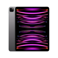 Apple/蘋果 ipad pro 2021款 12.9/10.5/9.7英寸二手平板電腦 95新 IpadPro 22 12.9寸 128G