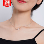 Djin魚骨項(xiàng)鏈女S925銀鎖骨鏈女生時(shí)尚吊墜閨蜜生日情人節(jié)禮物送女友 D792 魚骨項(xiàng)鏈