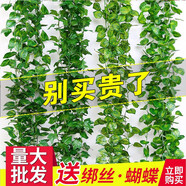 豚鹿仿真葡萄葉藤條植物樹葉子管道吊頂裝飾花藤假花塑料綠葉纏繞藤蔓 66葉加密葡萄葉【2條】