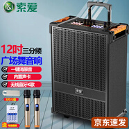 索愛(ài)（soaiy）SA-F29 12英吋大功率重低音廣場(chǎng)舞音響 移動(dòng)戶外藍(lán)牙拉桿木質(zhì)音箱擴(kuò)音器帶無(wú)線 12英吋三分頻內(nèi)置聲卡+雙無(wú)話筒+32G U盤(pán)
