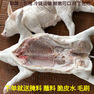 桃西村新鮮整只乳豬小奶豬3斤-30斤脆皮烤乳豬燒烤酒店半成品烤全豬 現(xiàn)殺乳豬3-4斤整只