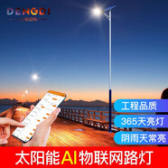 燈蒂 智能AI物聯(lián)網(wǎng)太陽(yáng)能路燈帶桿庭院燈戶(hù)外市政道路工程高桿照明燈 120W+9米錐桿【手機(jī)控制】