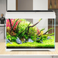 森森 超白玻璃一体小鱼缸AT-350B款自循环生态鱼缸 桌面观赏性水族箱