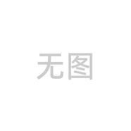 桐汝壁新款蘋(píng)果17promax手機殼蘋(píng)果16promax手機殼老花斜挎背帶掛繩適用iphone15promax手機殼蘋(píng)17air套 注帶有完整的字母 iPhone15ProMax
