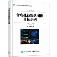 合成孔徑雷達圖像目標識別