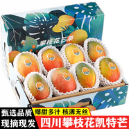 譯優(yōu)農四川攀枝花凱特芒 新鮮水果現摘應季青皮特大甜心芒果 源頭直發(fā) 帶箱9.5-10斤精選果王