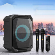 飛利浦（PHILIPS）SD308便攜式K歌音箱廣場舞戶外音響大功率移動重低音藍牙 SD308雙麥版