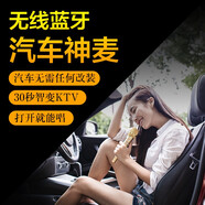 屁顛蟲（Hifier） 無線話筒麥克風(fēng)全民K歌神器專業(yè)錄音直播聲卡套裝車載K歌唱歌藍(lán)牙版本600手機(jī)唱歌麥克風(fēng) MC-900S直播版