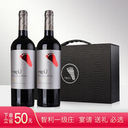 伊桐（yitong）智利一級酒莊 釀酒師西拉卡曼尼干紅葡萄酒chile原瓶進(jìn)口紅酒腳印 750ml*2禮盒裝 智利一級酒莊