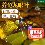 瘋狂水草龍眼葉養(yǎng)龜免煮天然造景植物魚缸擺件龍眼葉50-60片