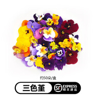 曠古農(nóng)業(yè)【順豐】新鮮三色堇50朵鮮花三色花西餐沙拉甜品烘焙蛋糕擺盤(pán)裝飾 1盒
