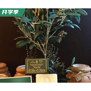 Santa Maria Novella橄欖油潔面皂100gSMN Olive Oil香皂干性敏感 100g