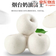 山東現摘現發(fā)奶油白蘋(píng)果黃金奶油富士孕婦新鮮水果牛奶蘋(píng)果 9斤 75mm(含)-80mm(不含)