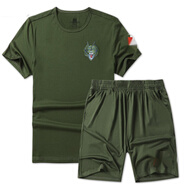 福狼軍迷服裝t恤體能服短袖短褲速干特戰(zhàn)迷彩服男退伍老兵戰(zhàn)聚會(huì)定制 軍綠狼頭(短袖+短褲) L碼(90-105斤)