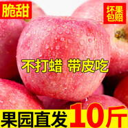 京愿陜西紅富士蘋(píng)果脆甜丑蘋(píng)果時(shí)令平果新鮮冰糖心蘋(píng)果水果生鮮 優(yōu)選9斤裝（凈重8.5斤）