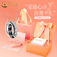 中國黃金（CHINA GOLD）騎士之環(huán)銀項(xiàng)鏈輕奢小眾設(shè)計(jì)感嘻哈毛衣鏈吊墜七夕情人節(jié)生日禮物 騎士之環(huán)項(xiàng)鏈【心動摯愛禮盒】
