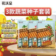 花沃里3款蔬菜種子套裝C 四季易種香菜朝天椒小番茄西紅柿陽(yáng)臺(tái)庭院種植