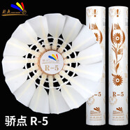 驕點羽毛球R5飛行穩(wěn)定R7耐打訓(xùn)練比賽羽毛球 R5   76速12個 1筒