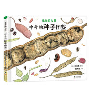 神奇的種子圖鑒 生命的力量（精裝兒童繪本一座包羅萬象的種子博物館，孩子從一粒種子開始探索生命。自然科學繪本大師、博物學家盛口滿全新力作。附贈大幅精美導讀)