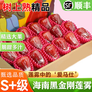 譯優(yōu)農【順豐空運】海南三亞黑金剛蓮霧果新鮮當季熱帶水果黑珍珠仙女果 凈重5斤大果【20-30個(gè)】順豐空運