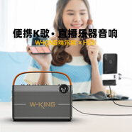維爾晶（W-King） H8II手提戶外便攜藍(lán)牙音響直播K歌音箱家庭影院家庭KTV帶聲卡功能樂器彈唱高顏值小音箱支持雙麥 黑色Ⅲ