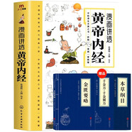 漫畫講透黃帝內(nèi)經(jīng) 贈本草綱目+千金方+金匱要略 （套裝4冊）  國學(xué)經(jīng)典中醫(yī)養(yǎng)生大全十二節(jié)氣養(yǎng)生智慧漫畫圖解