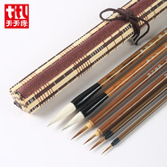 天天練(Tiantianlian)國(guó)畫毛筆套裝6支 加健白云兼毫葉筋勾線筆狼毫初學(xué)者白描工筆畫毛筆 TN-0475