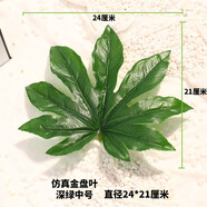 初衷八角葉仿真超市水果區假葉子店鋪陳列裝飾綠葉小樹(shù)葉擺盤(pán)布置用品 八角金盤(pán)葉 深綠中號5片裝
