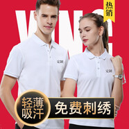 群英匯聚polo定制短袖工作服T恤訂制印logo工衣定做文化衫同學(xué)聚會(huì)服刺繡 白色 XXXL