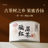 正山堂紅茶 駿眉中國 貴州普安紅茶特級50g罐裝茶葉 觀山駿眉紅茶大葉種