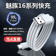 適配原裝魅族16X快充數(shù)據(jù)線16th/16thplus手機(jī)充電線快充線手表 專用快充線【Type-C口】2條 1m