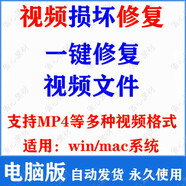 損壞視頻修復軟件錄屏手機相機單反無人機行車記錄儀斷電MP4 mov商務服務