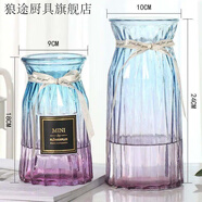 歡晉特大號玻璃花瓶透明水養富貴竹百合轉運花瓶客廳插花歐式花瓶擺件 浪漫+18浪漫2件套【藍紫】 24cm 花瓶玻璃+加厚8*8+組合+贈+