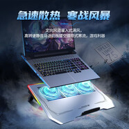 優(yōu)微客 機械革命蛟龍16/蛟龍16Pro 2025/24款游戲本適用配件 鍵盤(pán)膜屏幕膜電腦包散熱器支架 筆記本散熱器(超薄鋁合金) 機械革命蛟龍16Pro 2025款